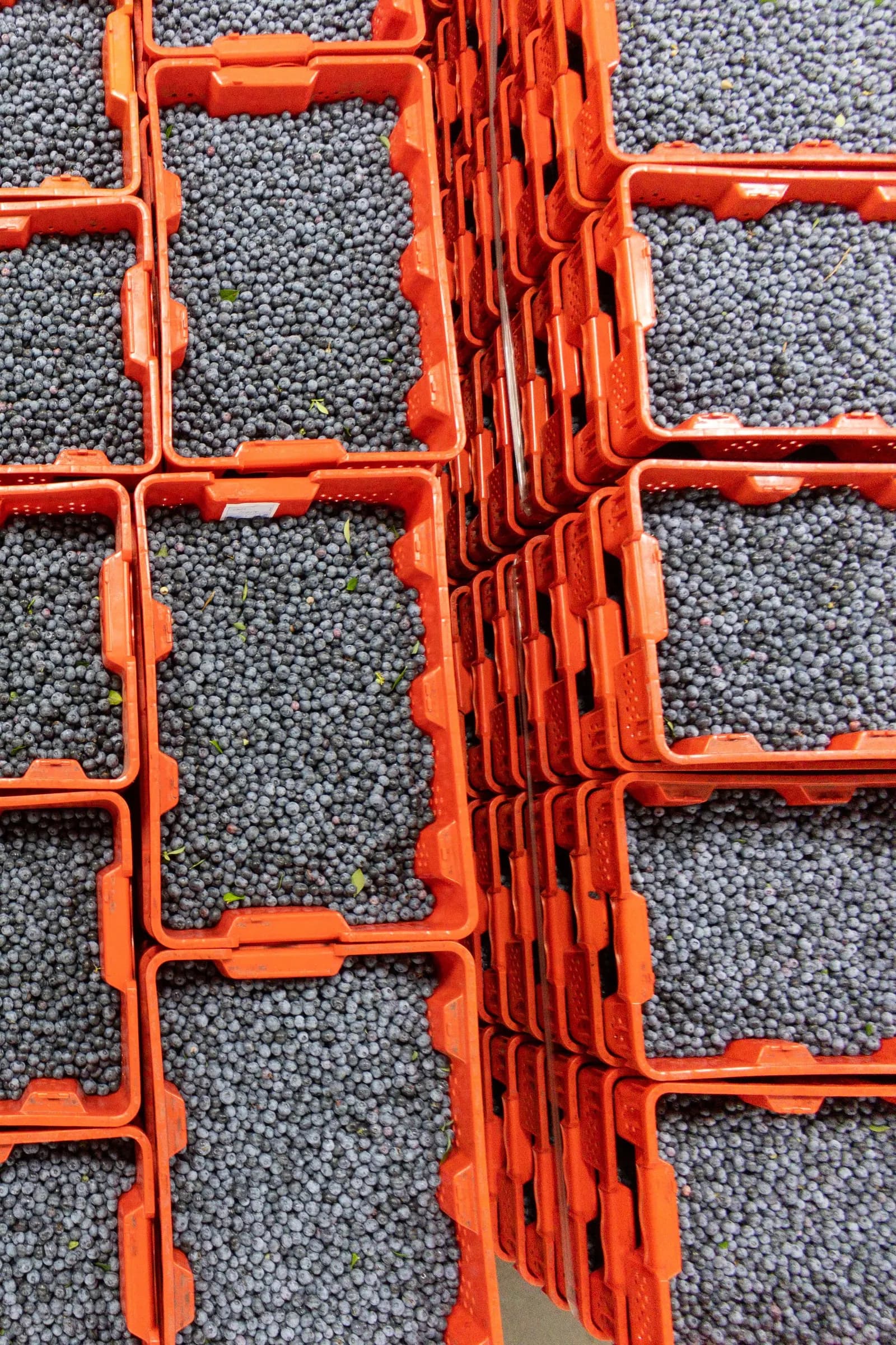 Equipment and loading context for Fresh Produce Transportation